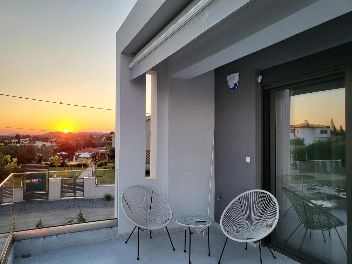 Olea Valley Holiday Villa 尼基季 外观 照片