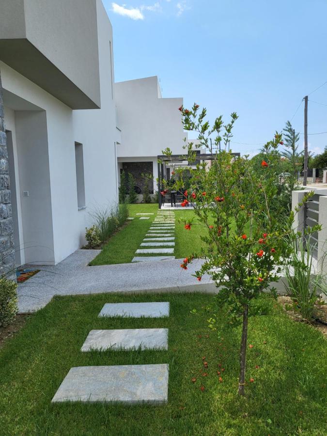 Olea Valley Holiday Villa 尼基季 外观 照片
