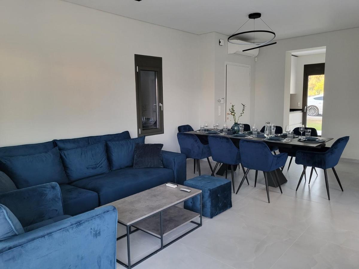 Olea Valley Holiday Villa 尼基季 外观 照片