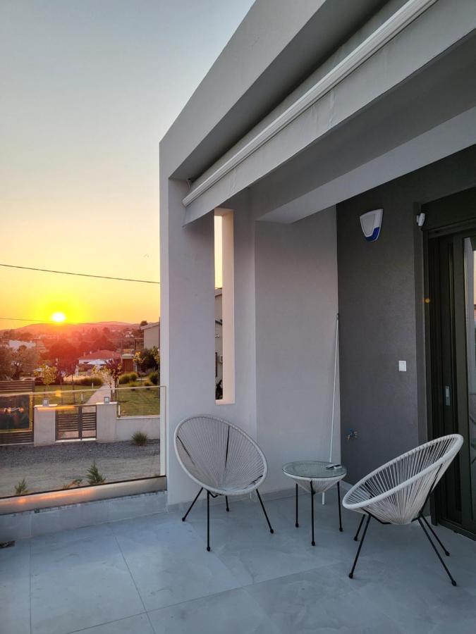 Olea Valley Holiday Villa 尼基季 外观 照片